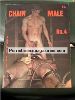 Chain Male no 4 Gay Leather S&M Male Nude Men Magazine Parisian Press